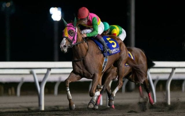 【兵庫ジュニアグランプリ】マルカラピッドは6枠7番