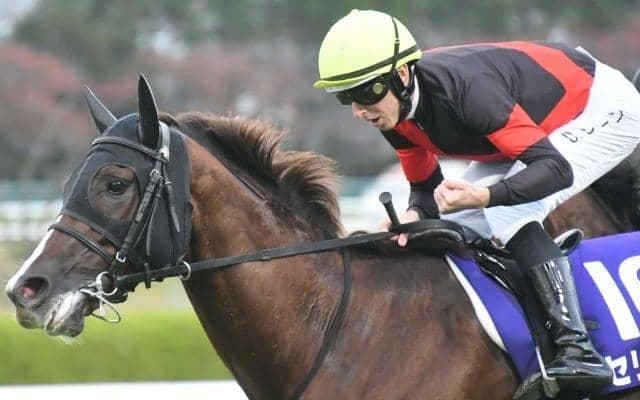 AIが指名したのはまさかの伏兵　強敵揃いでも好走に期待