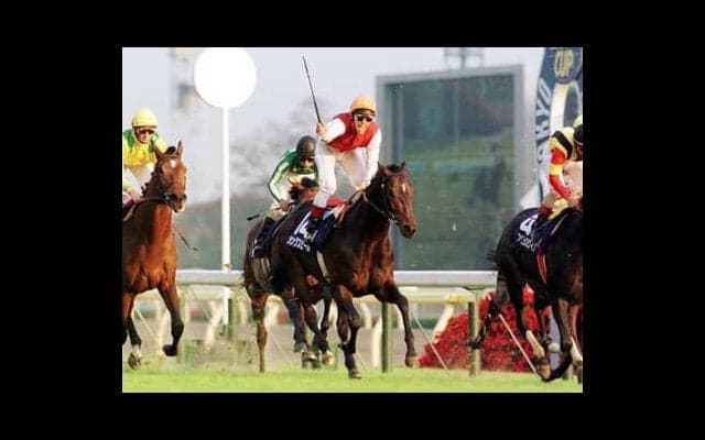 ジャパンＣで注目の外国馬を血統で分析。ドイツの「超大物候補」とフランスの「世界的良血馬」に激走の予感