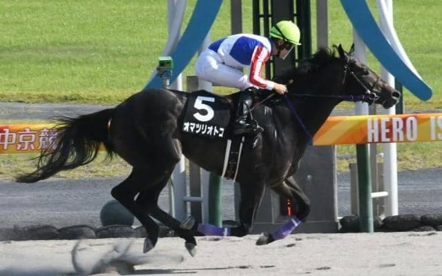 上がり最速連発のオマツリオトコか、2戦連続圧勝のトレドか/園田・兵庫ジュニアGP注目馬