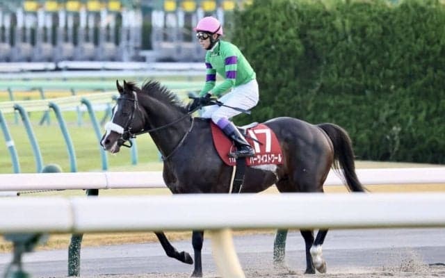 【武豊日記】強敵相手に一発を狙います