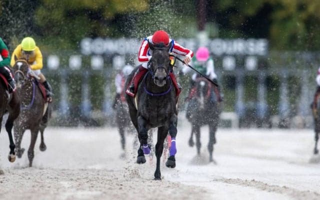 【兵庫ジュニアグランプリ】オマツリオトコが交流重賞初制覇！1番人気トレドは故障