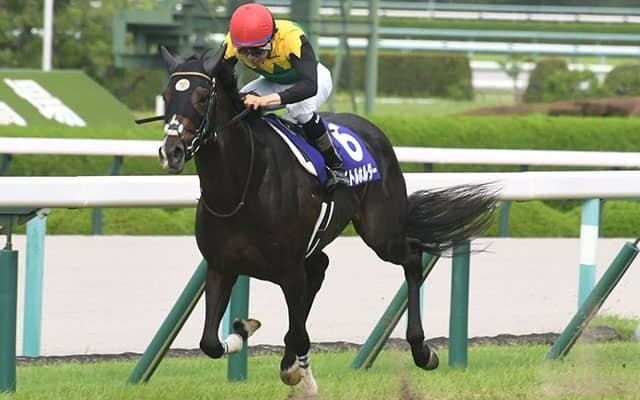 【有馬記念】第1回中間発表でタイトルホルダー、エフフォーリアの４歳勢がワンツー