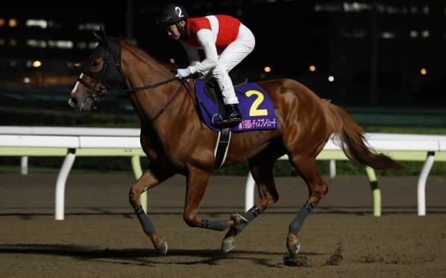 【船橋・クイーン賞出走予定馬】ショウナンナデシコ、グランブリッジら 