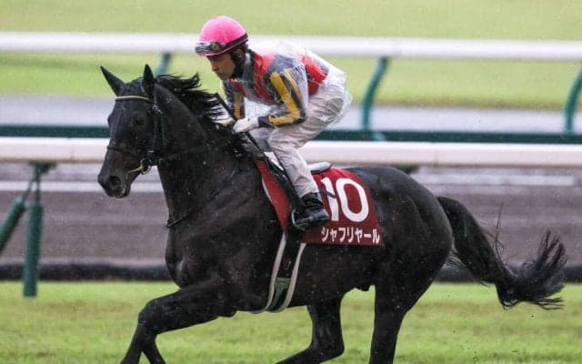 【ジャパンC】出走馬の調教後の馬体重