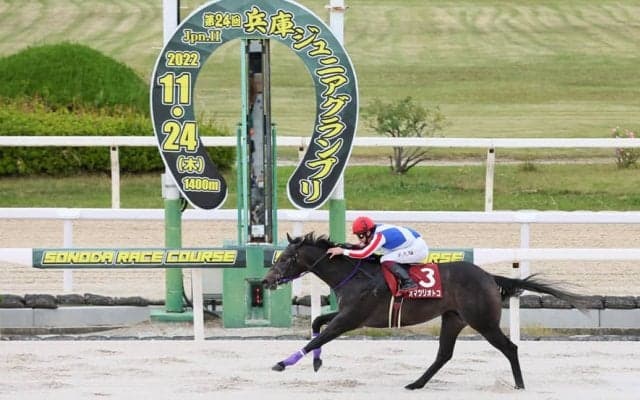 【兵庫ジュニアグランプリ】伊藤師「距離伸びても大丈夫」オマツリオトコが重賞初V