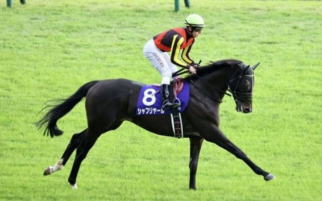【ジャパンC】シャフリヤールは7枠15番