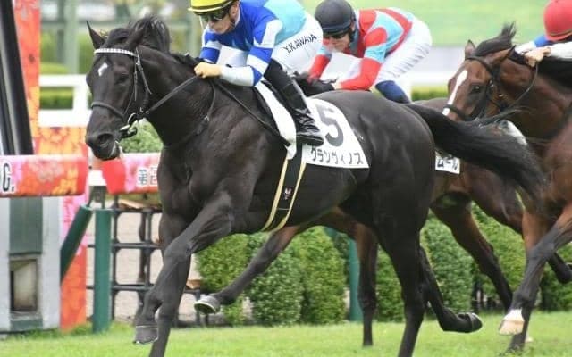 【京都2歳S枠順確定】グランヴィノスは4枠6番、エゾダイモンは3枠5番