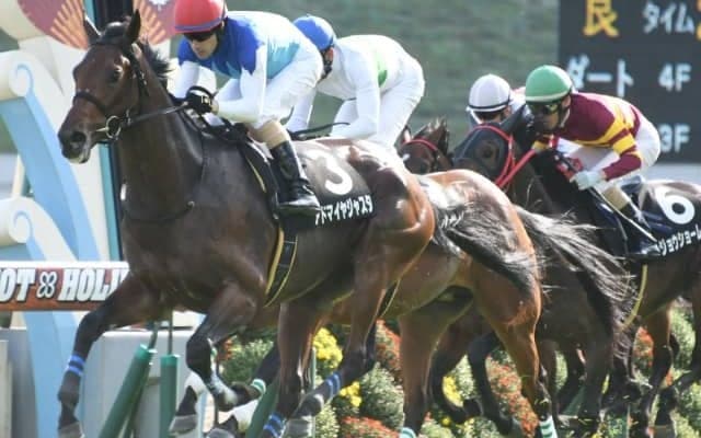 単勝15人気でGIII制覇 波乱起こした『1億5000万円馬』が現役を引退