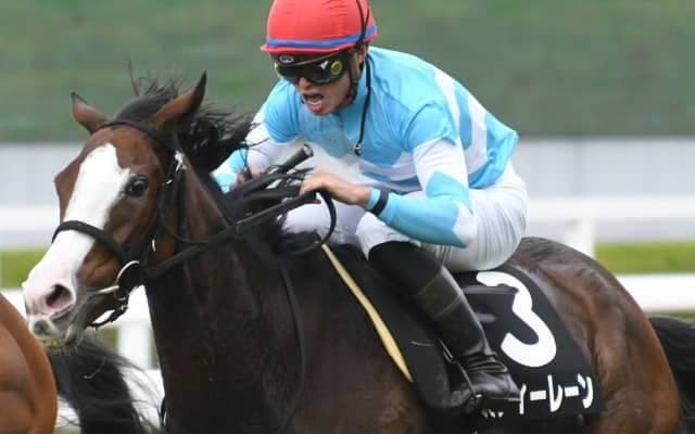 中山芝3600mの名物重賞に小柄なステイヤー・メロディーレーンが初挑戦 ステイヤーズSの出走想定馬