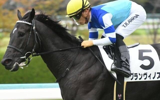 【今日の注目ポイント】阪神で京都2歳S、東京メインはリステッドのキャピタルS