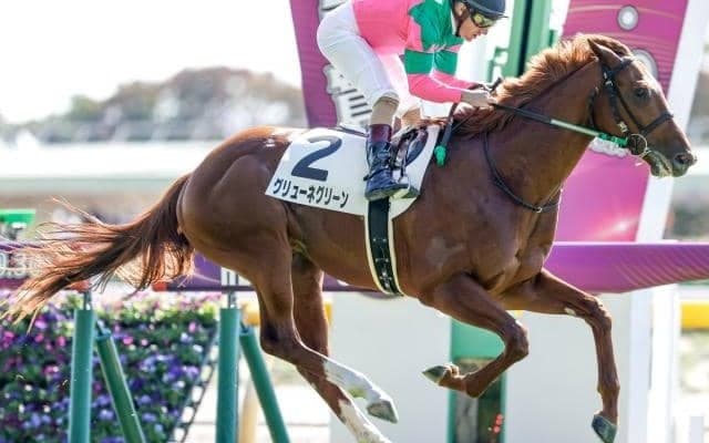 【京都2歳S予想】来春のクラシックを占う見逃せない1戦