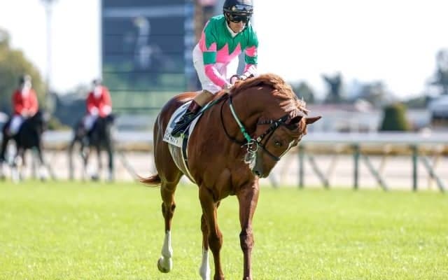 【京都2歳S結果】ラブリーデイ産駒グリューネグリーンが逃げ切りV