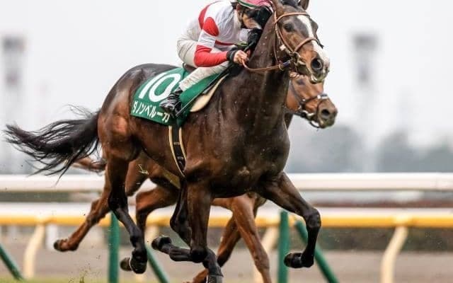 【ジャパンC前日オッズ】ダノンベルーガ、シャフリヤール、ヴェラアズールの3頭が人気を分け合う