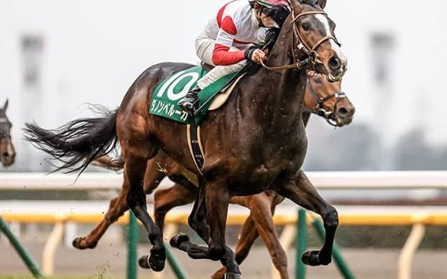 【ジャパンC予想】後方からでは届かない!? 楽観視禁物の人気馬候補とは