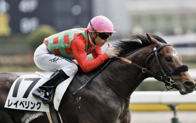 【新馬/東京5R】フランケル産駒 レイべリングがデビューV