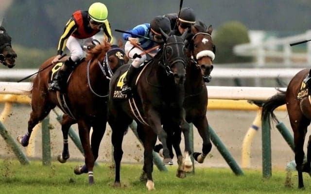 【キャピタルS】ララクリスティーヌが大混戦のゴール前を制する