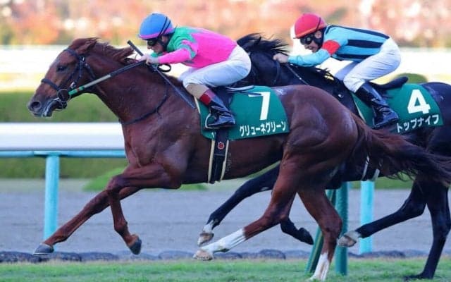 【京都2歳S】グリューネグリーンが逃げ切り！重賞初制覇