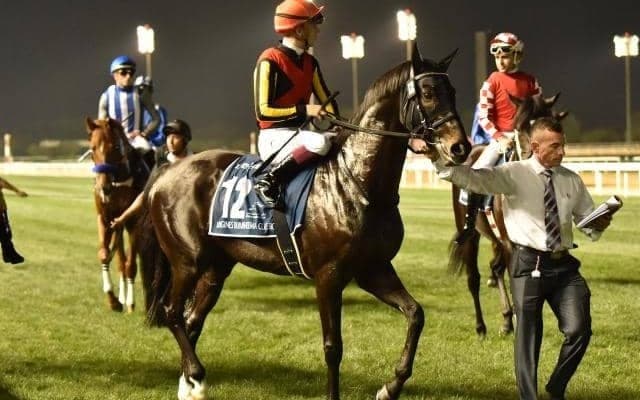 【今日の注目ポイント】東京でジャパンC、阪神では京阪杯