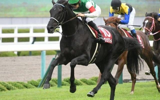 【ジャパンC予想】欧州馬4頭参戦、国際色豊かなレースの展望は