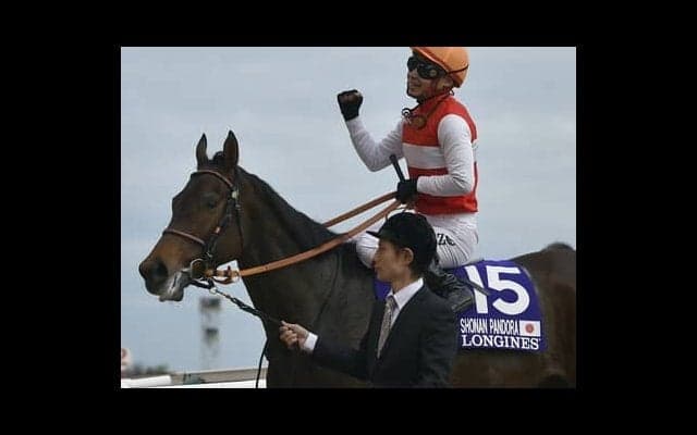 ショウナンパンドラの子として注目されるウォーターハウスは「実戦に行ってよさが出そう」