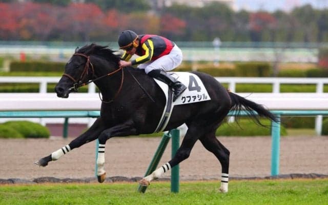 【新馬/阪神5R】モーリス産駒クファシルがデビューVで、良血馬対決を制する
