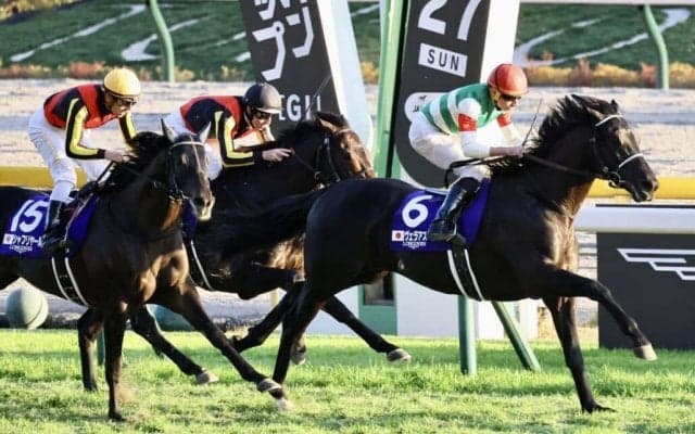 【ジャパンC】遅咲きヴェラアズールがG1戴冠