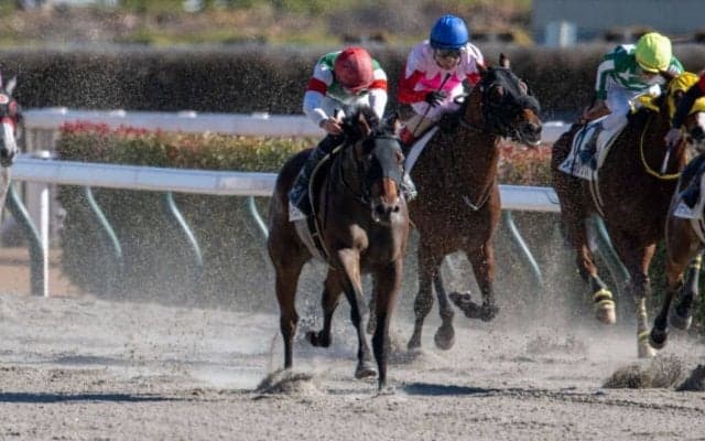 【東京5R】良血ライラスターが初ダートでV