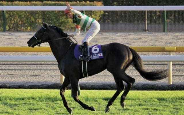 【ジャパンC】ムーア「詰まる場面何度も…」ヴェラアズールがG1初制覇