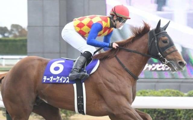 ダート王決定戦チャンピオンズC、長丁場のステイヤーズSなど/今週の競馬界の見どころ