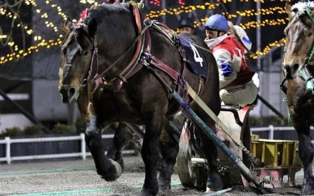 【ドリームエイジカップ】西謙一「馬もだいぶやる気だった」メジロゴーリキが重賞8勝目