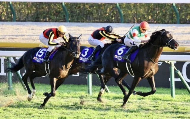 【ジャパンC】C.デムーロ「外を通らざるを得なかった」ヴェラアズールがG1初制覇