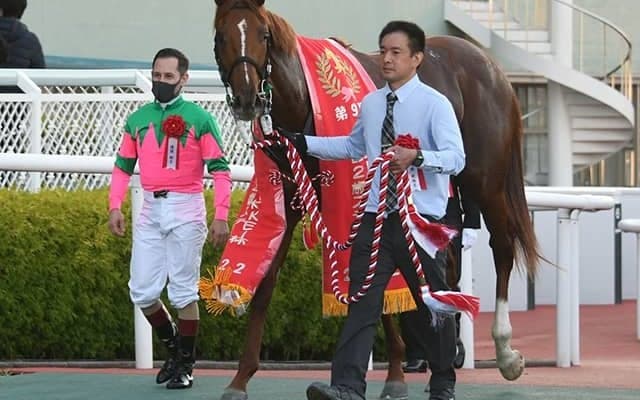 【京都2歳S】売上は38億4448万3800円で昨年から約7億円増加