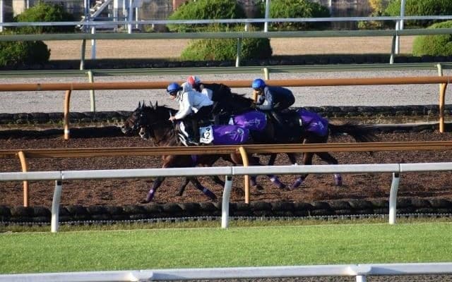 レシステンシアの半弟ジャスティンボルトがR.ムーア騎手でデビュー/関西馬メイクデビュー情報