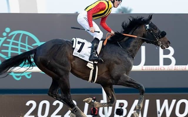 【AI予想・チャンピオンズC】テーオーケインズに逆転可能!? 人工知能が指名した「◎」候補とは