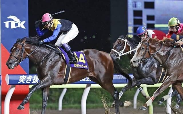 国内ダート路線改革案が発表 さきたま杯JpnI昇格、ジャパンダートダービーの改称決定など