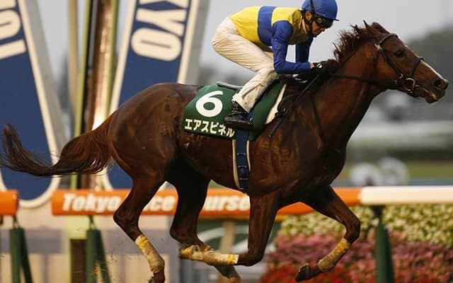 クラシックを賑わせた9歳馬、今年の中山金杯覇者、10歳でGI出走の古豪らがJRA登録を抹消