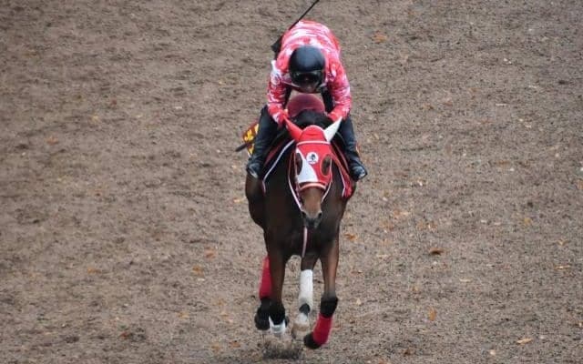 ラヴェルなど、先週の入厩情報/栗東トレセンニュース