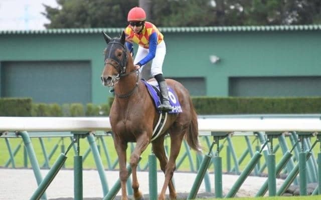 【チャンピオンズC予想オッズ】前年覇者テーオーケインズが予想1番人気