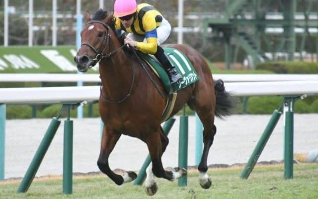 【チャレンジC予想オッズ】前年覇者ソーヴァリアントが予想1番人気