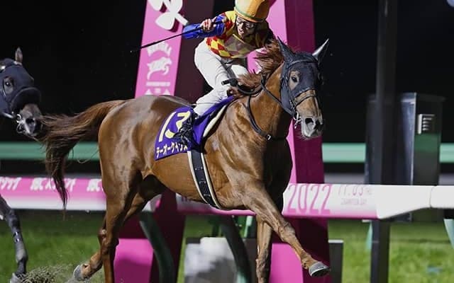 昨年はステッキ一発でGI馬らに圧勝 2021年JRA最優秀ダートホースがチャンピオンズCに出走