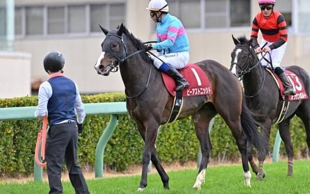 【チャレンジC展望】近年の好走傾向に合うあの馬に期待したい