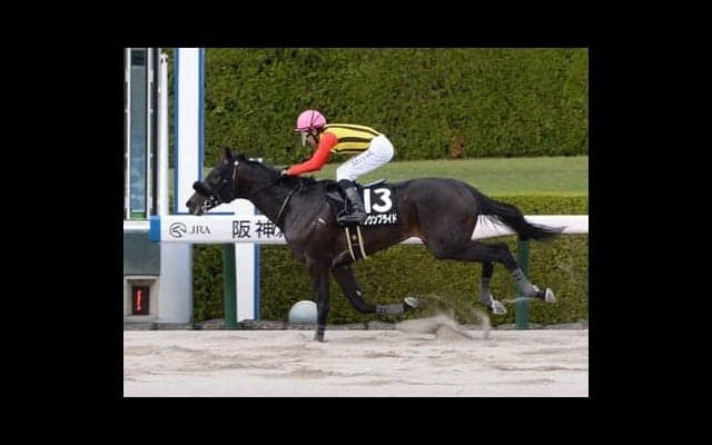 テーオーケインズ「１強」のチャンピオンズＣ。ダート界でもこの秋躍動する３歳世代の逆転はあるか