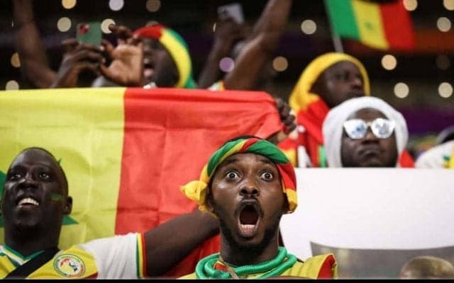 「試合見えてるのかな」「ずっとつけてたわけじゃないよね？」セネガルのスタンドに現れた“ライオン”に日本のファンも大注目「めっちゃリアル」