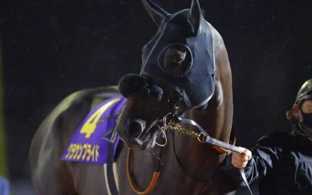 【チャンピオンズC予想】傾向からも死角ナシ 穴党のAIも今回はお手上げか？