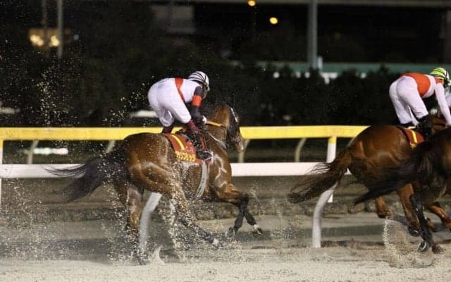 【クイーン賞】福永「勝ち馬が強かった」グランブリッジは2着