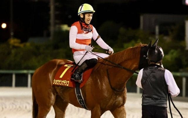 【クイーン賞】吉田隼「動ける位置にはいたのですが…」ショウナンナデシコは伸び切れず