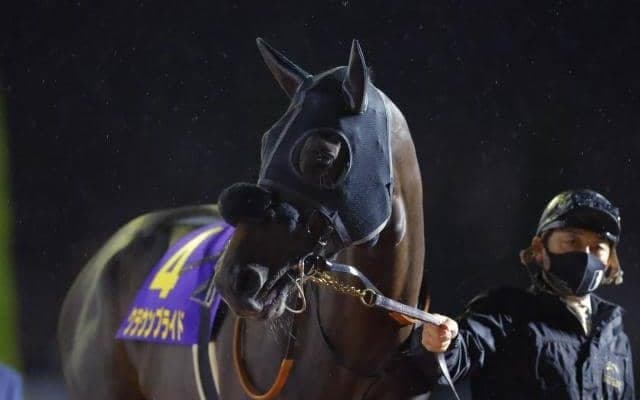 【チャンピオンズC展望】前走で差しに回っていた馬は苦戦傾向