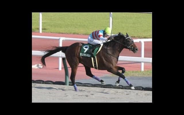 チャンピオンズＣと相性がいいキングカメハメハ産駒。芝からダートに転向して躍動する、２頭の血統分析による信頼度は？