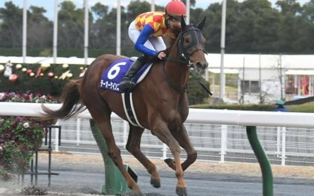 【チャンピオンズC枠順確定】テーオーケインズは6枠12番、クラウンプライドは5枠10番